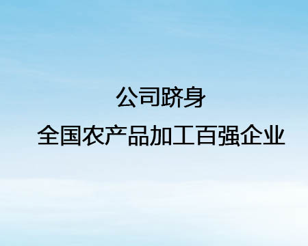 ��˾����ȫ��ũ��Ʒ�ӹ���ǿ��ҵ