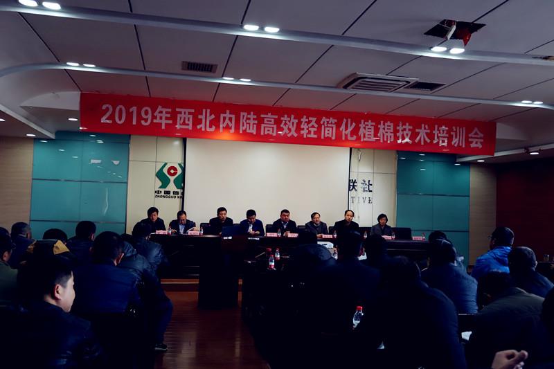 2019�괺����Ч���ֲ�޼���������ѵ����ξ��ɳ��Բ������